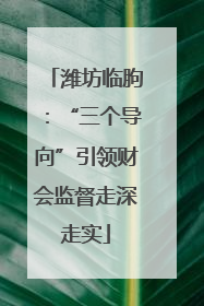 潍坊临朐：“三个导向”引领财会监督走深走实