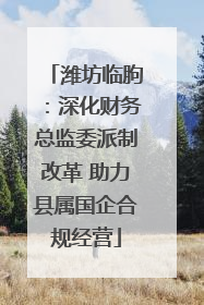 潍坊临朐：深化财务总监委派制改革 助力县属国企合规经营