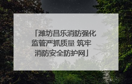 潍坊昌乐消防强化监管严抓质量 筑牢消防安全防护网