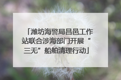 潍坊海警局昌邑工作站联合涉海部门开展“三无”船舶清理行动