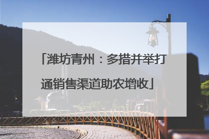 潍坊青州：多措并举打通销售渠道助农增收