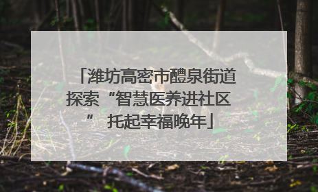 潍坊高密市醴泉街道探索“智慧医养进社区” 托起幸福晚年