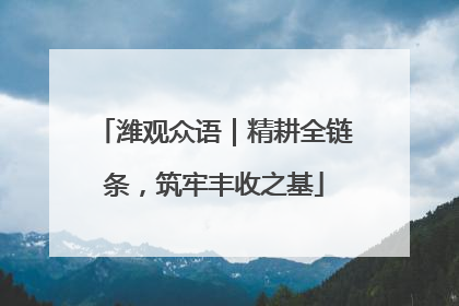 潍观众语｜精耕全链条，筑牢丰收之基