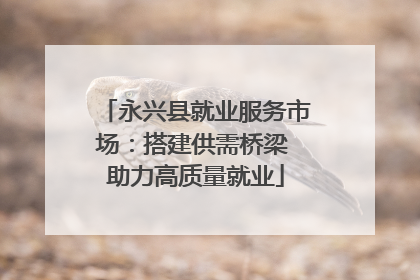 永兴县就业服务市场：搭建供需桥梁 助力高质量就业