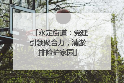 永定街道：党建引领聚合力，清淤排险护家园