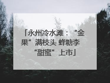 永州冷水滩：“金果”满枝头 蜂糖李“甜蜜”上市