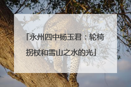 永州四中杨玉君：轮椅拐杖和雪山之水的光