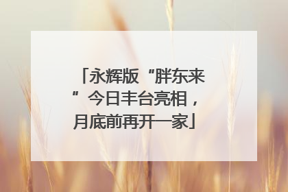 永辉版“胖东来”今日丰台亮相，月底前再开一家