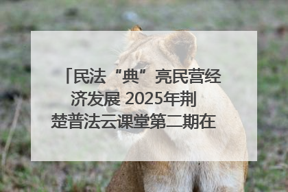 民法“典”亮民营经济发展 2025年荆楚普法云课堂第二期在武汉客厅开讲