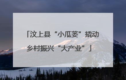 汶上县“小瓜蒌”撬动乡村振兴“大产业”