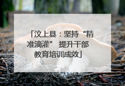 汶上县：坚持“精准滴灌” 提升干部教育培训成效