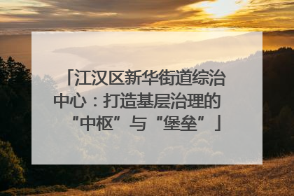 江汉区新华街道综治中心：打造基层治理的“中枢”与“堡垒”