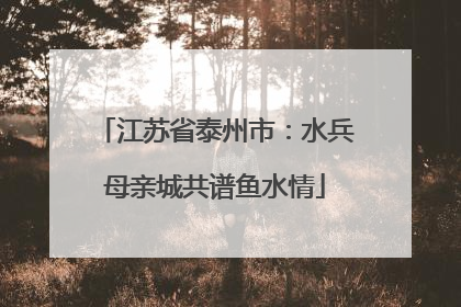 江苏省泰州市：水兵母亲城共谱鱼水情