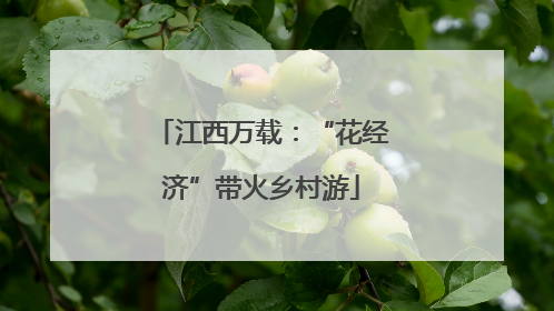 江西万载：“花经济”带火乡村游