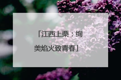 江西上栗：绚美焰火致青春
