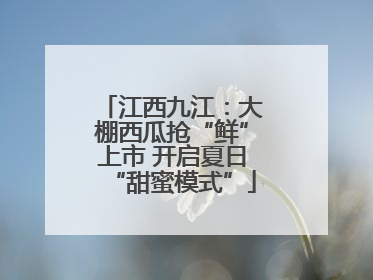 江西九江：大棚西瓜抢“鲜”上市 开启夏日“甜蜜模式”