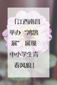 江西南昌举办“鸿鹄展” 展现中小学生青春风貌