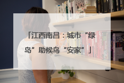 江西南昌：城市“绿岛”助候鸟“安家”