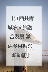 江西共青城农文旅融合发展 激活乡村振兴新动能