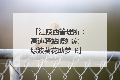 江陵西管理所：高速驿站暖如家 绿波葵花助梦飞