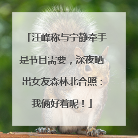 汪峰称与宁静牵手是节目需要，深夜晒出女友森林北合照：我俩好着呢！