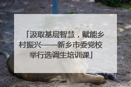 汲取基层智慧，赋能乡村振兴——新乡市委党校举行选调生培训课
