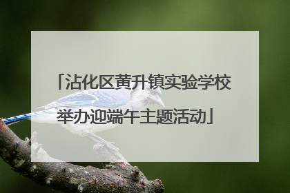 沾化区黄升镇实验学校举办迎端午主题活动