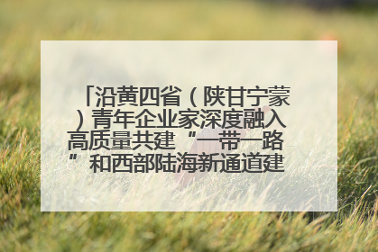 沿黄四省（陕甘宁蒙）青年企业家深度融入高质量共建“一带一路”和西部陆海新通道建设战略合作交流会在甘肃兰州召开