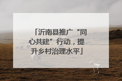 沂南县推广“同心共建”行动，提升乡村治理水平