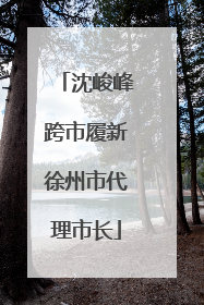 沈峻峰跨市履新徐州市代理市长