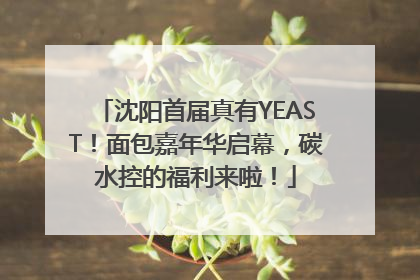 沈阳首届真有YEAST！面包嘉年华启幕，碳水控的福利来啦！