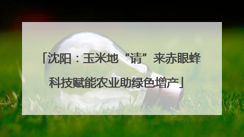 沈阳：玉米地“请”来赤眼蜂 科技赋能农业助绿色增产