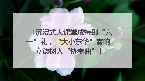 沉浸式大课堂成特别“六一”礼，“大小东华”奏响立德树人“协奏曲”