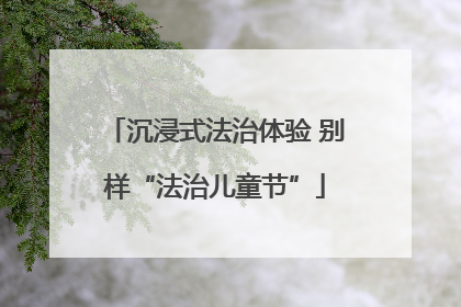 沉浸式法治体验 别样“法治儿童节”