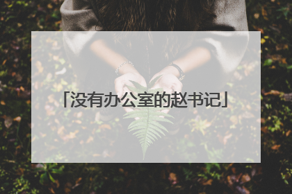 没有办公室的赵书记