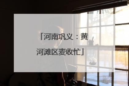 河南巩义：黄河滩区麦收忙