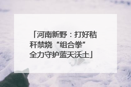 河南新野：打好秸秆禁烧“组合拳” 全力守护蓝天沃土
