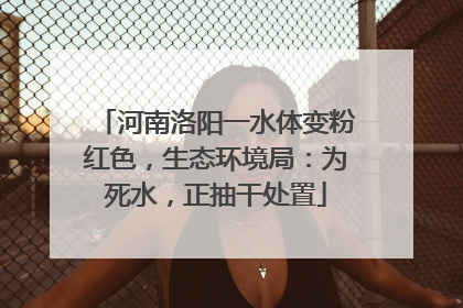 河南洛阳一水体变粉红色，生态环境局：为死水，正抽干处置