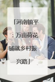 河南镇平：万亩荷花铺就乡村振兴路