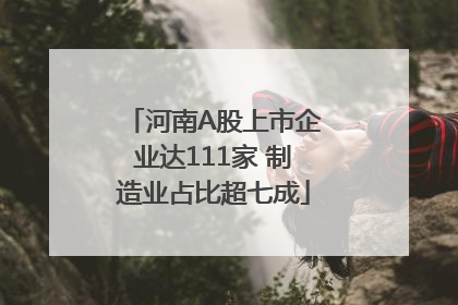 河南A股上市企业达111家 制造业占比超七成