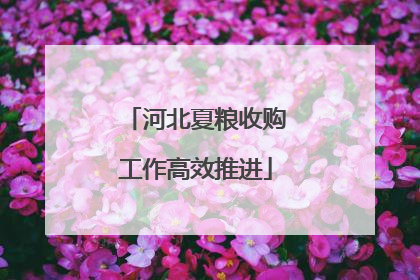 河北夏粮收购工作高效推进