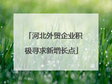 河北外贸企业积极寻求新增长点