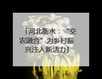 河北衡水：“交农融合”为乡村振兴注入新活力