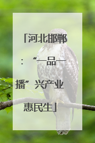 河北邯郸：“一品一播”兴产业惠民生