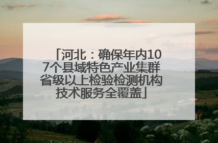 河北：确保年内107个县域特色产业集群省级以上检验检测机构技术服务全覆盖