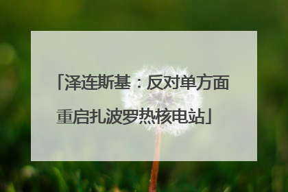 泽连斯基：反对单方面重启扎波罗热核电站