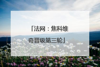 法网：焦科维奇晋级第三轮