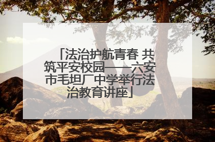 法治护航青春 共筑平安校园——六安市毛坦厂中学举行法治教育讲座