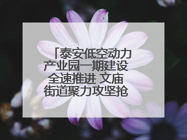 泰安低空动力产业园一期建设全速推进 文庙街道聚力攻坚抢抓“进度条”