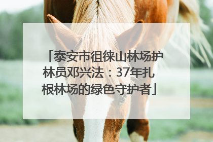 泰安市徂徕山林场护林员邓兴法：37年扎根林场的绿色守护者